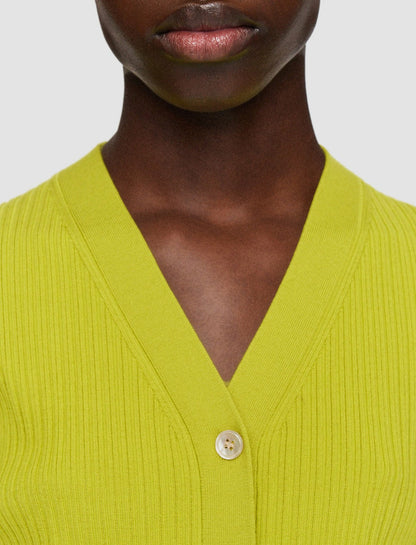 JOSEPH Fashion Women Merino Rib Cardigan Ginkgo