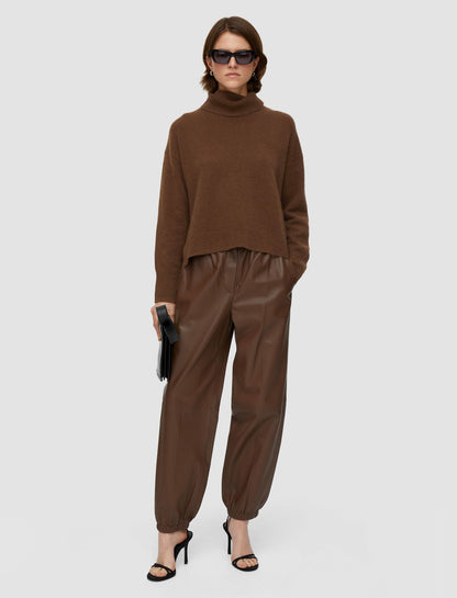 JOSEPH Fashion Women Brushed Cashmere High Neck Jumper Arabica