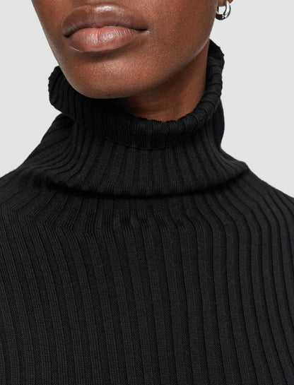 JOSEPH Fashion Women Merino Silk Rib High Neck Jumper Black