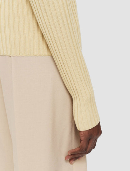 JOSEPH Fashion Women Merino Silk Rib High Neck Jumper Champagne