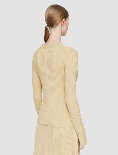 JOSEPH Fashion Women Merino Silk Rib Round Neck Jumper Champagne