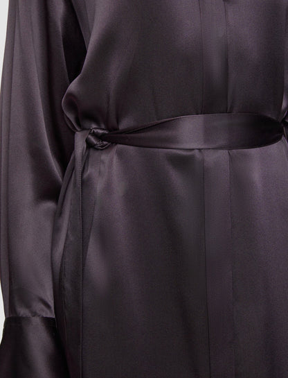 JOSEPH Fashion Women Cyprien Silk Satin Dress Aurora